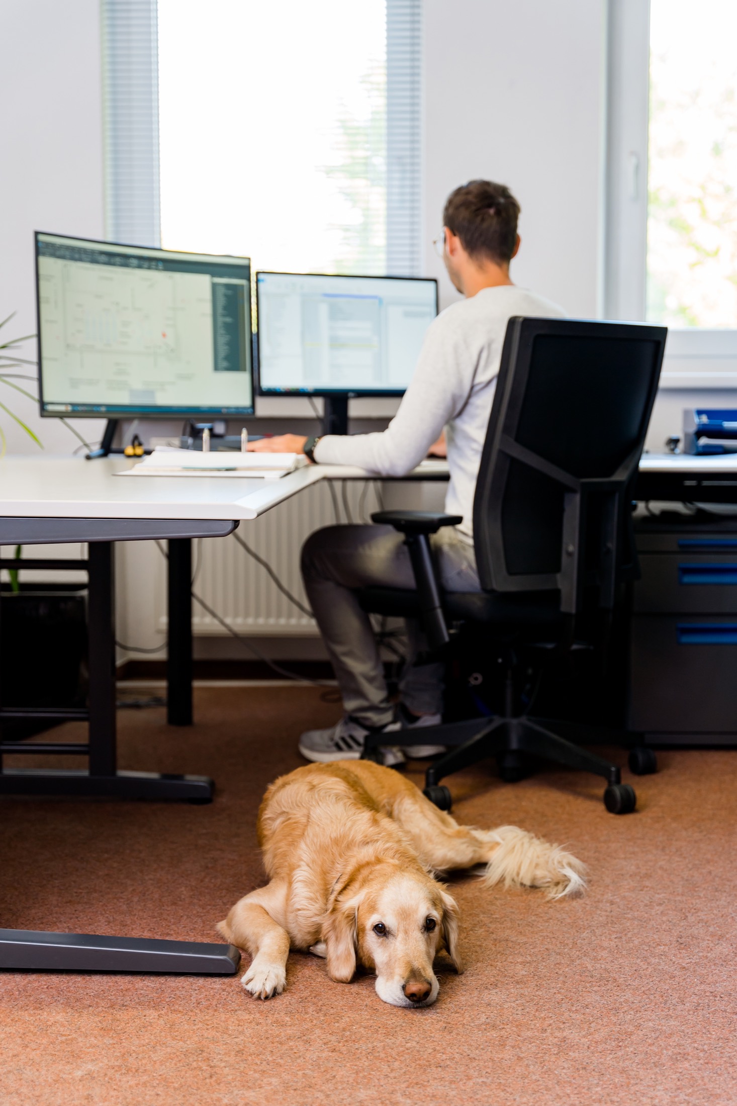 Entspannte Arbeitsatmosphäre beim Ingenieurbüro Alka